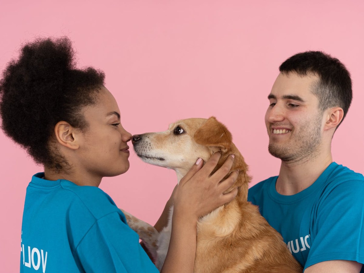 Ablauf einer Adoption