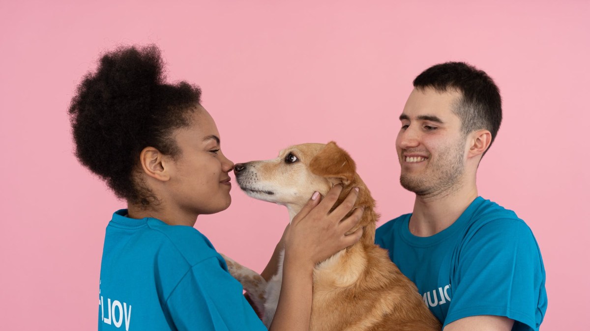 Ablauf einer Adoption