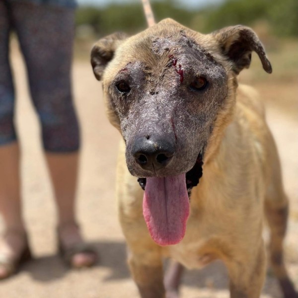 Happy End für&nbsp;Wicker