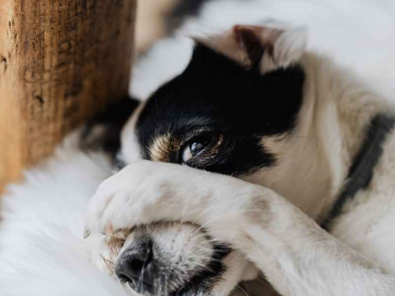 Prophylaxe gegen Mittelmeerkrankheiten