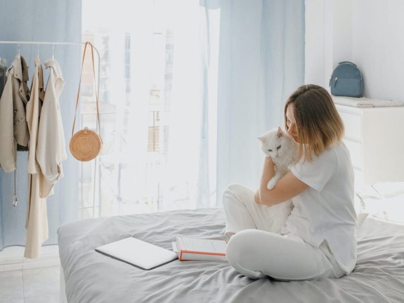 Pflegestellen gesucht