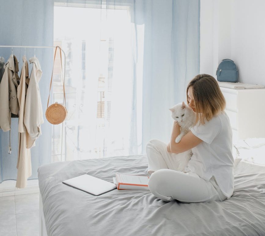 Pflegestellen gesucht