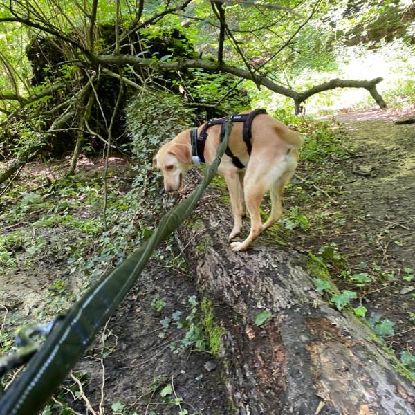 Nalas Geschichte – Part&nbsp;2