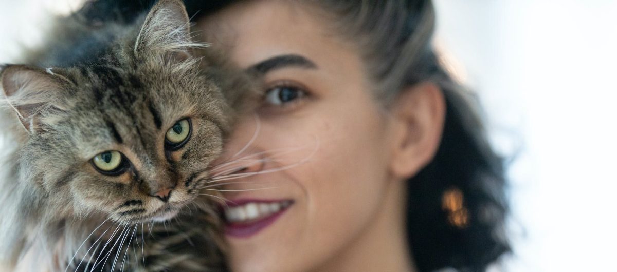 Abgeschlossene Aktionen