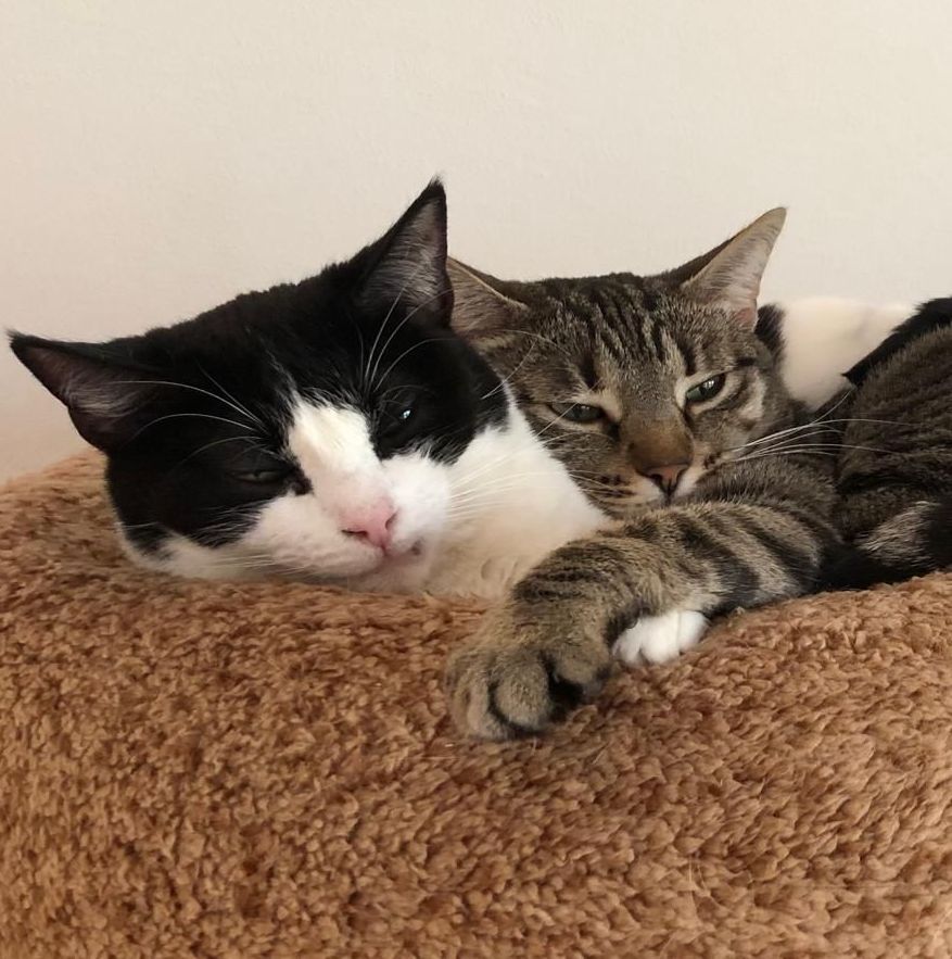 Stacy ♀ + Miriam&nbsp;♀