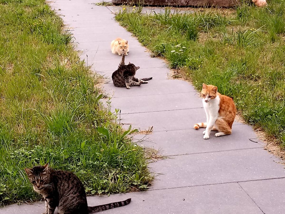 Update zu unserem&nbsp;Notfall