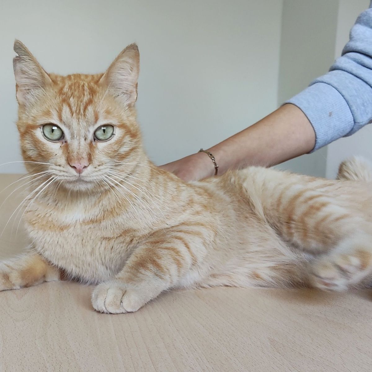 Spendenaktion für Isidro