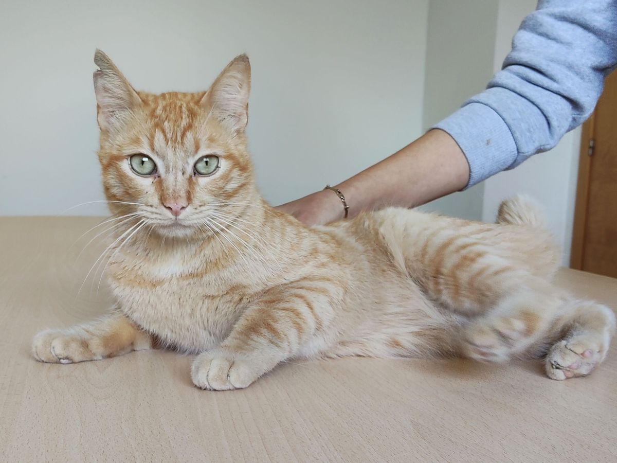 Spendenaktion für Isidro