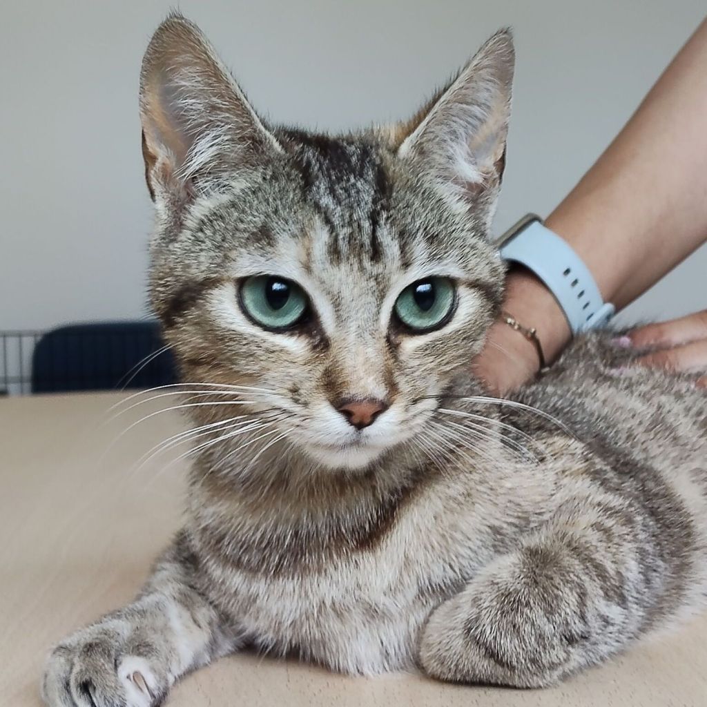 Hora ♀ + Hula&nbsp;♀