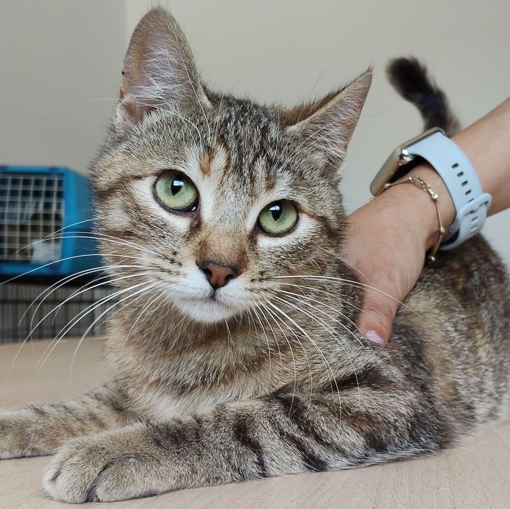 Hula ♀ + Hora&nbsp;♀