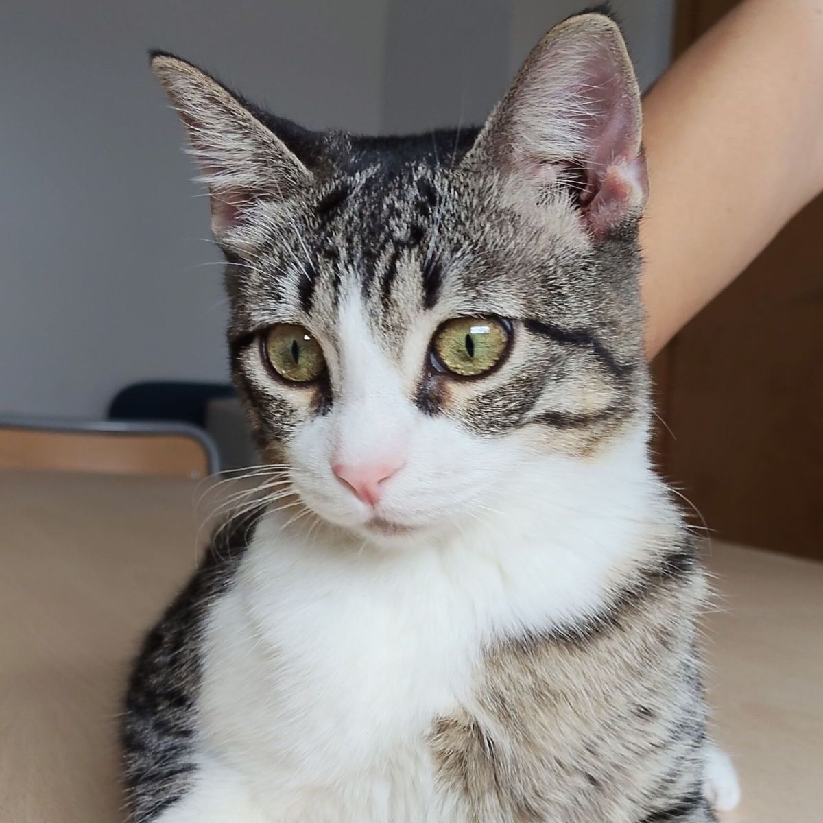 Mota ♀ + Magui&nbsp;♀