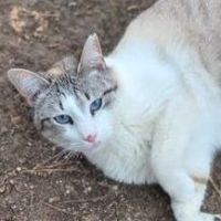 Tais ♀+ Zeus&nbsp;♂